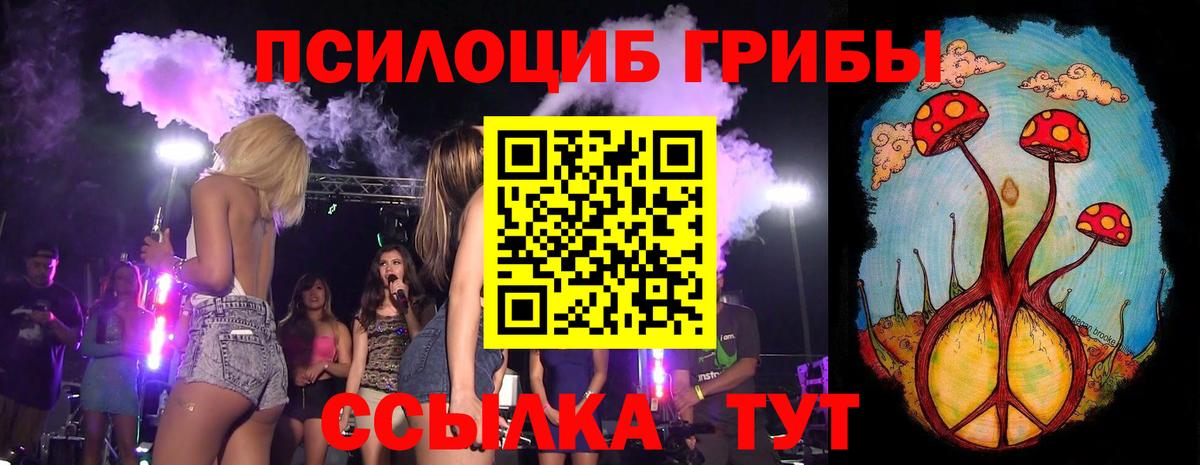 Галлюциногенные грибы прущие грибы  Вход с VPN  Советск  Галлюциногенные грибы мицелий 